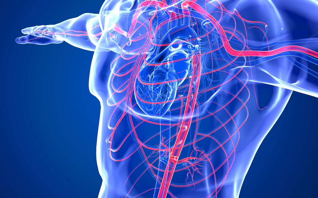 Prevenzione, trattamento e riabilitazione nel post COVID in ambito cardiovascolare