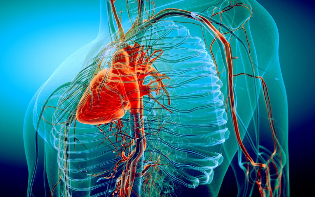 Screening cardiovascolare di popolazione o screening delle disuguaglianze?