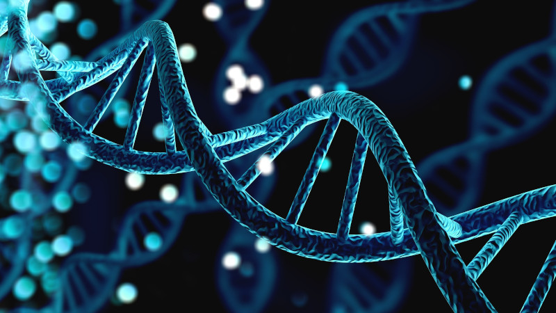 Genomica: una preziosa risorsa per la ricerca e la clinica cardiovascolare